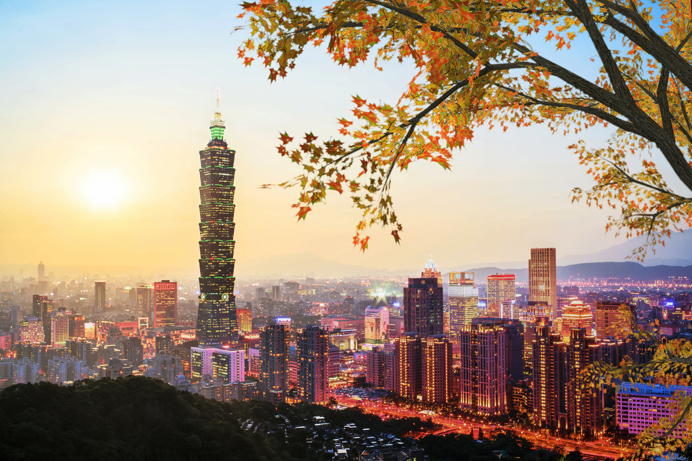 The Largest Patent Prosecution Firms in Taiwan | IP Pilot