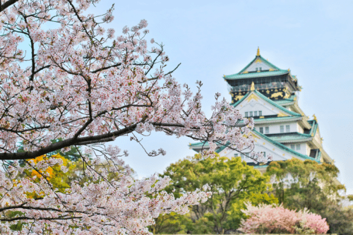 The Largest Patent Law Firms in Japan | IP Pilot