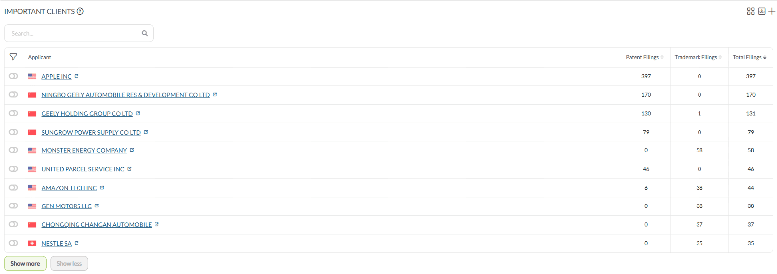 The Important Clients table on the Overview tab, listing applicants with their patent filings, trademark filings and total filings.