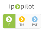 The IP, TM and PAT buttons at the top of the left navigation pane, with IP selected.