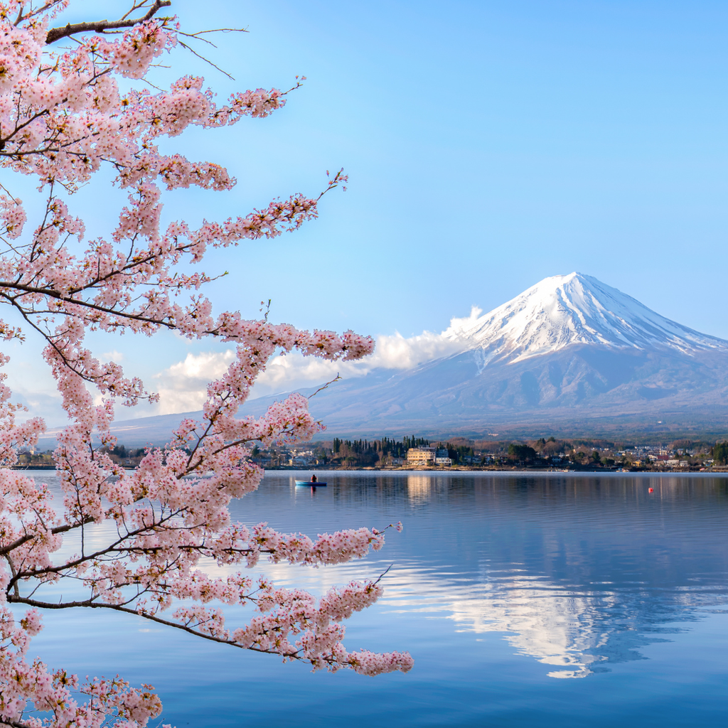 Kirschblüten und der Fuji über einen See hinweg, Titelbild des Berichts über japanische Patentkanzleien